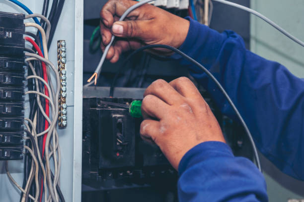 Best Electric Panel Repair  in Webster City, IA